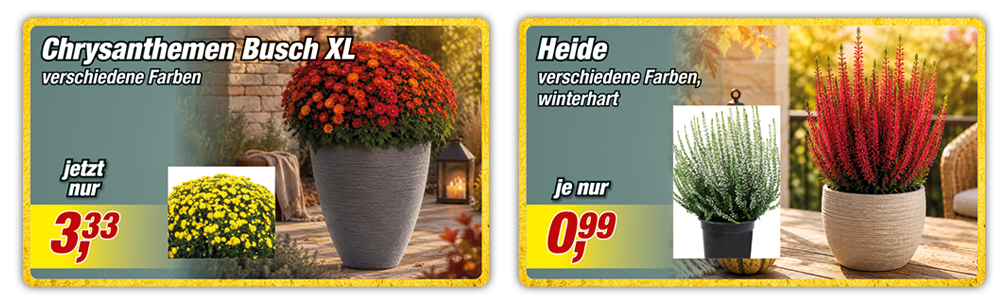 Mit 82 Filialen ganz in Ihrer Nähe!