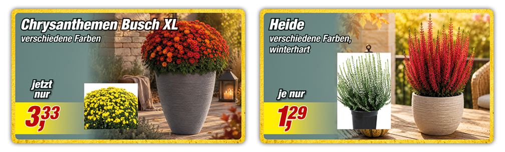 Mit 82 Filialen ganz in Ihrer Nähe!